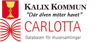 /KALIX logo image